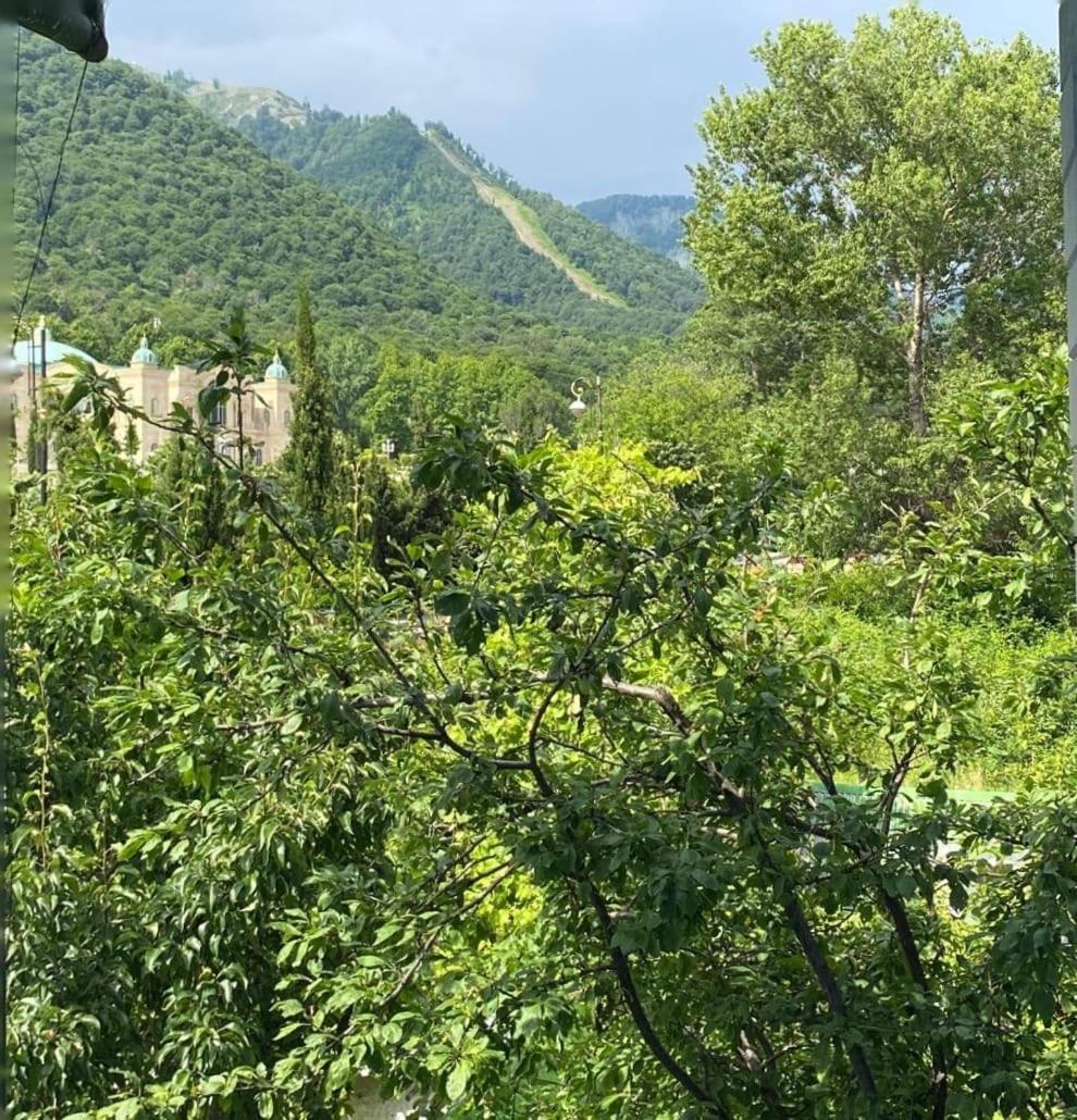 Panoramic Tufandag Family Apartment ガバラ エクステリア 写真